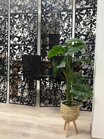 Residence Morena Рим Екстер'єр фото